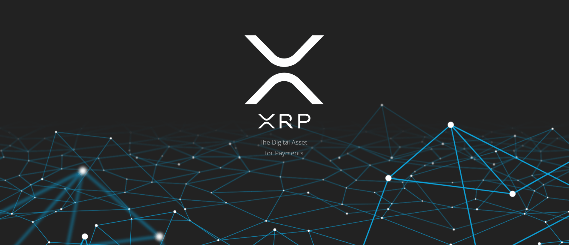 XRP legt um 28 Prozent zu und zieht Bitcoin und Ethereum mit
