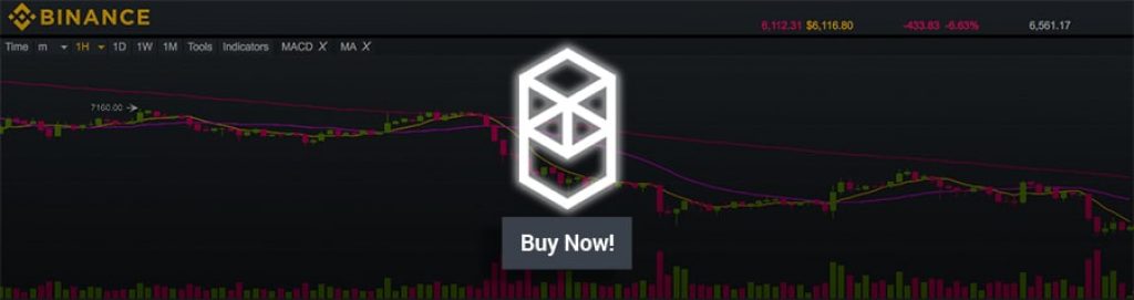 FTM Binance Banner
