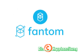 Fantom Coins – Die besten 6 FTM Projekte