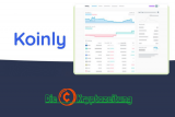 Koinly Erfahrungen & Test – Wie gut ist dieser Bitcoin Steuer Rechner?